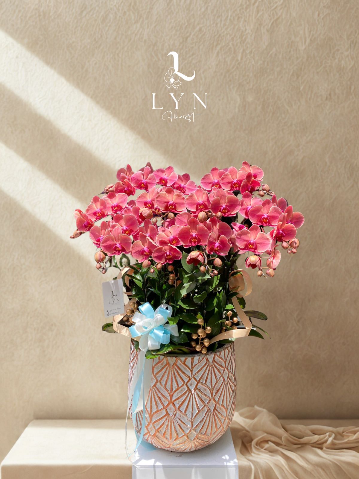 Chậu Hoa Lan Hồng Cam